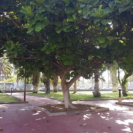 Nova San Pedro Apartamento شقة طوستا ديل سيلونثيو